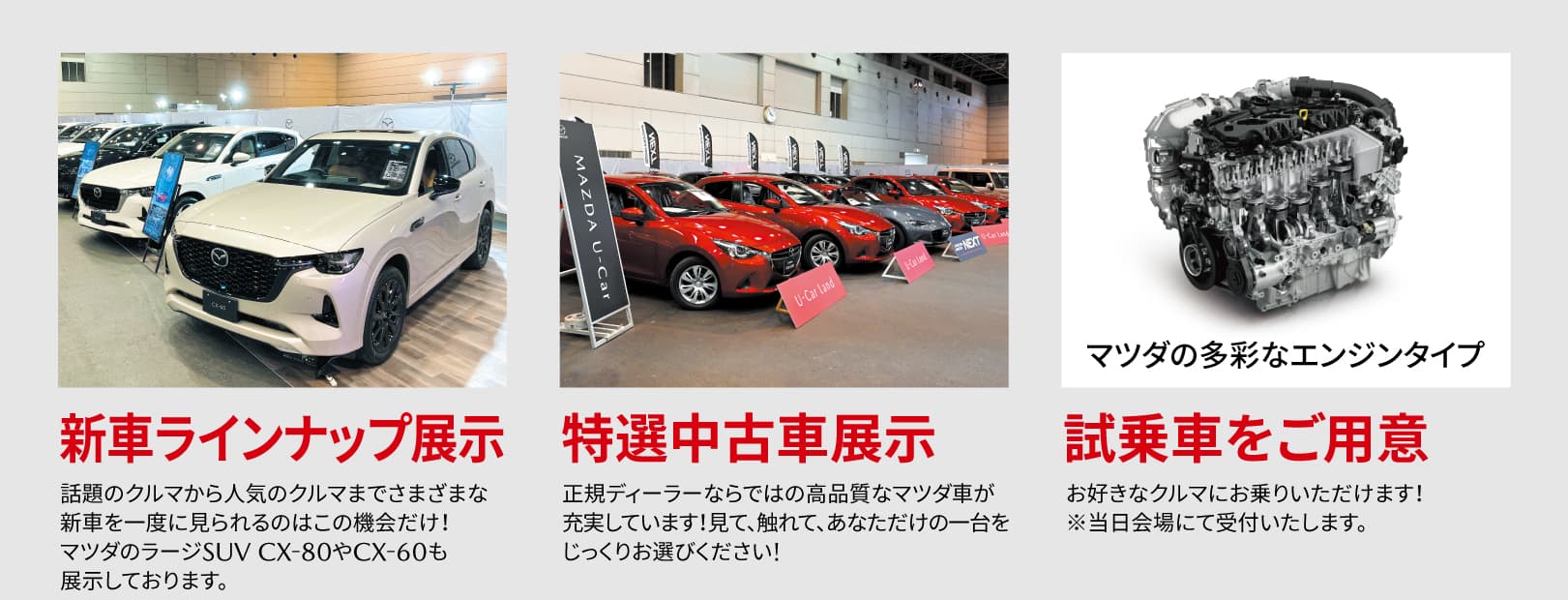 新車・中古車・試乗車ラインナップ