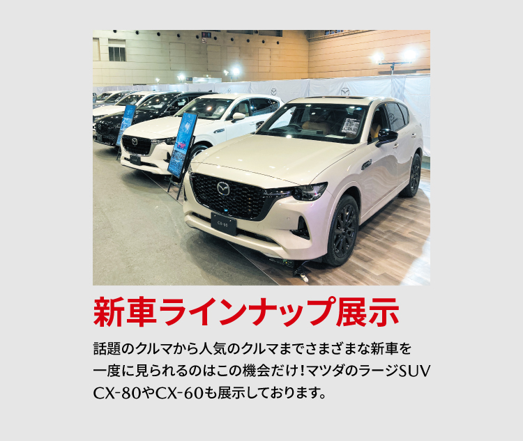 新車ラインナップ展示