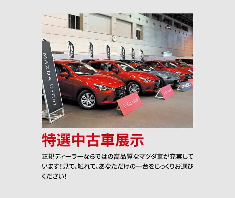 特選中古車展示