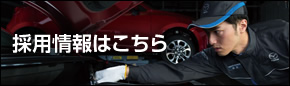 採用情報はこちら